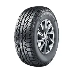 Wanli Tires Dubai