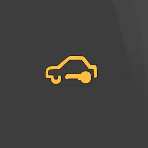 Immobilizer warning light