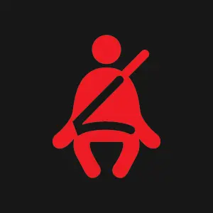Seatbelt reminder warning light