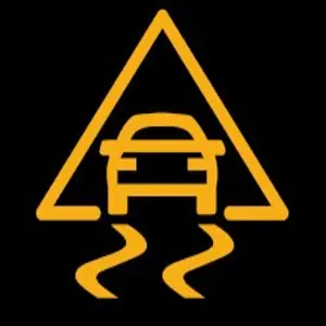 Stability control fault warning light